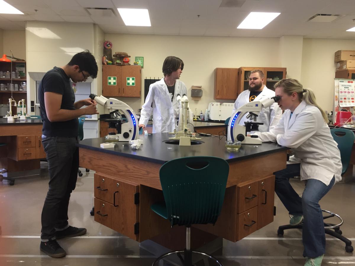 Andres Orellana, Timothy Tyler, Aaron Gatewood and Laura Bean looking at diatoms under the microscope.